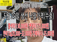 중국으로 수출되고 있습니..