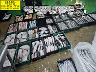 12월 18일, 갑오징어, 눈..