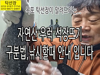 탁선장 자연산 우럭 석장뜨..