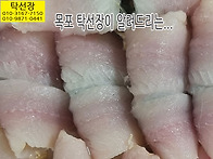 7월 3일, 배오징어, 생물..