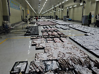 12월 15일(2물) 홍어, 잡..