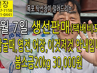 10월 7일, 국내산 봄소금,..