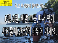 배말,고둥 따기, 고둥 따..
