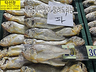 9월 2일, 민어, 참돔, 삼..