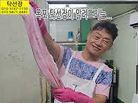 갯장어 손질, 잔칼질하기,..