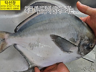 덕자손질, 덕대손질, 회 ..