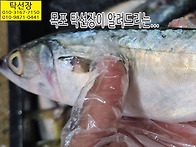 10월 15일, 고등어, 꼬지..