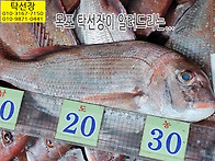 5월 14일, 참돔, 황석어,..