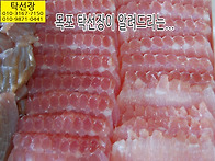 8월 11일, 채낚오징어, ..