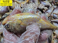 5월 21일, 황석어(중.소)..
