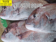 10월 26일, 자연산회, 참..