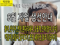 8월 제철 생선, 홍어, 낙..