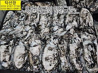 12월 11일, 쥐치회, 갑오..