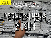 먹갈치 크기 순서, 먹갈치..