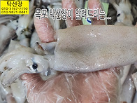 6월 30일, 살 오징어, 파..