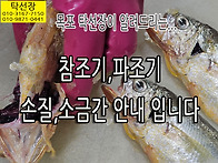 탁선장이 참조기손질, 파조..