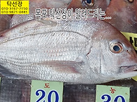 5월 28일, 우럭회, 황석어..