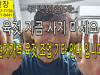 현재 육젓가격, 육젓 조업..