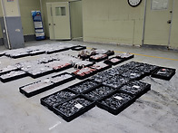 12월 19일(6물) 통치, 민..