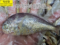 5월 28일, 굵은 황석어, ..