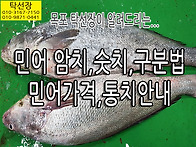 민어 암치, 숫치 구분법,..