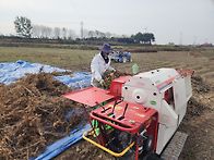 콩탈곡 마무리 했어요