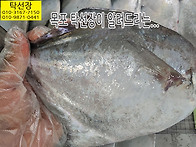 7월 1일, 20미 병어, 덕..