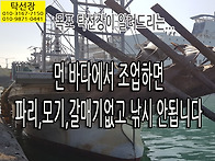 먼 바다에서 조업하면 파리..
