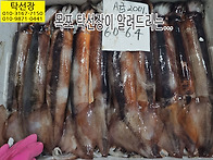 8월 6일, A급 오징어, 먹..