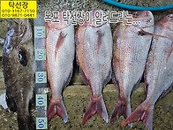 12월 12일, 능성어회, 참..