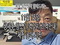 11월 15일, 생새우 가격,..