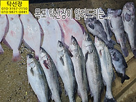 6월 1일, 광어회, 밴댕이회..