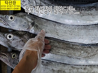 9월 4일, 자연산회, 민어..