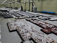 12월 12일(조금 물때) 참..