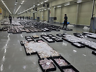 8월 5일(조금물때) 병어,..