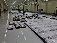 12월 11일(13물), 먹갈치..