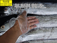 5월 29일, 방어회, 4미먹..