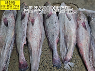 9월 3일, 민어, 참조기, ..