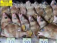 5월 1일, 자연산회, 먹갈..