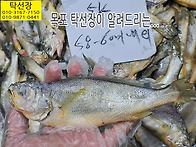 10월 7일, 새우젓, 추젓,..