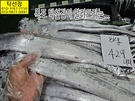 10월 23일, 광어회, 농어..