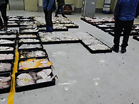 4월 16일(5물) 참돔, 웅..