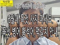 6월 육젓, 병어, 황석어,..