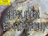 6월에는 황석어 큰 것이 ..