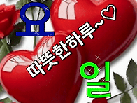 2025년 7월 23일 수요일