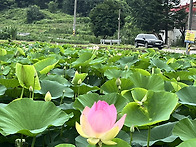 [7/06] 파워방_울미연꽃마..