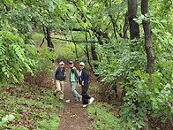 260521. 우면산