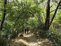 260618 인왕산 둘..