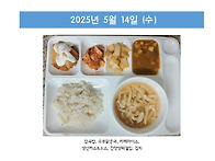 2025년 5월 3주..