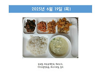 2025년 6월 3주..